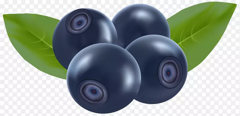 蓝莓剪贴画-蓝莓PNG