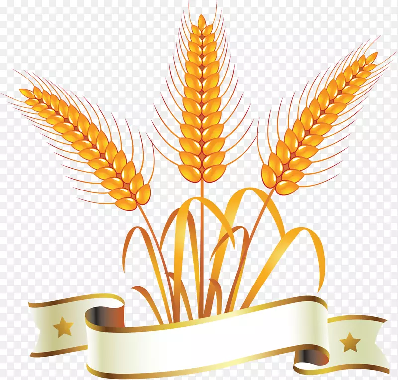 徽标小麦面包夹艺术-小麦PNG