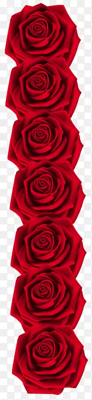 花园玫瑰剪贴画-红玫瑰装饰透明PNG剪贴画形象