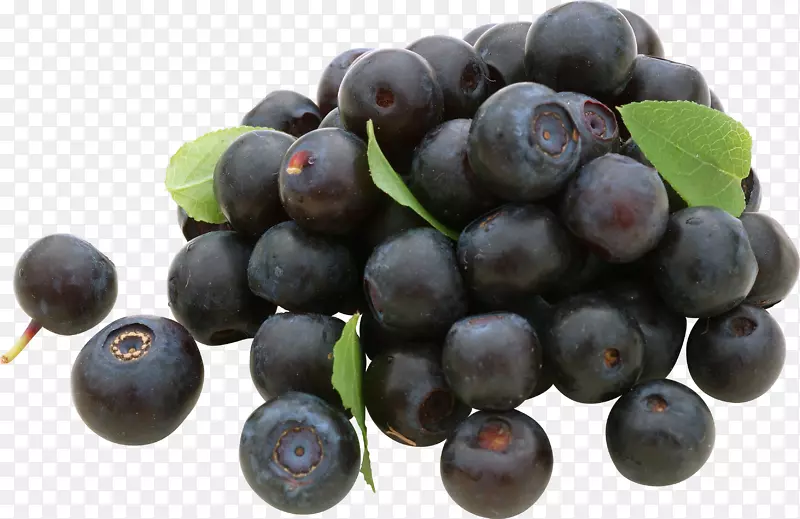 蓝莓葡萄果子粉-蓝莓PNG