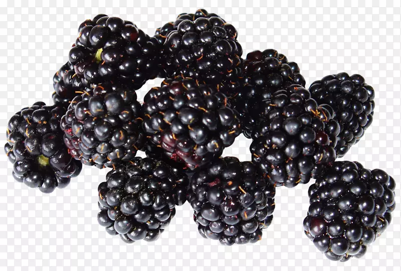 黑莓果黑树莓-黑莓PNG