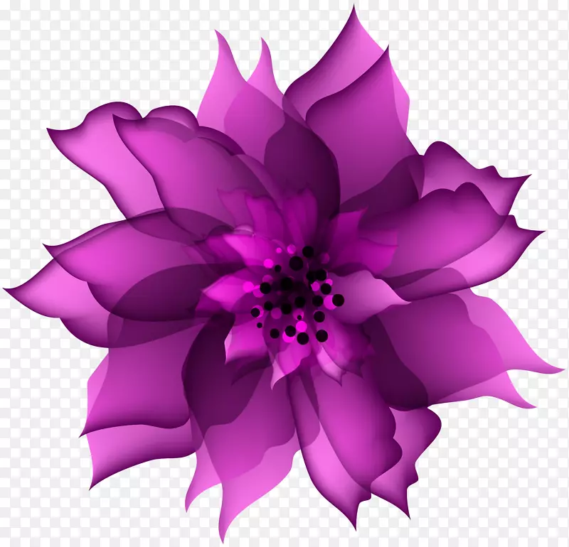 DMC：魔鬼可以哭花夹艺术-装饰花紫色透明PNG剪贴画