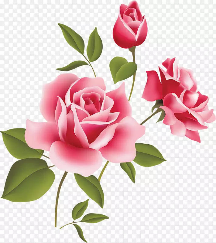 玫瑰粉色剪贴画-粉红色玫瑰艺术剪贴画