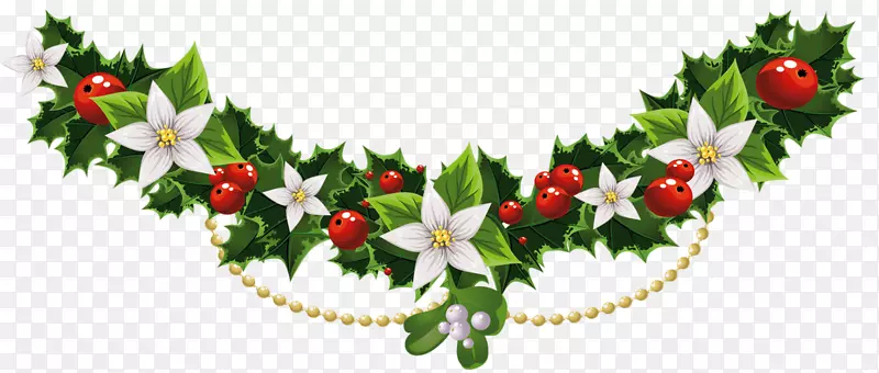 槲寄生圣诞普通冬青夹艺术-透明圣诞槲寄生花环