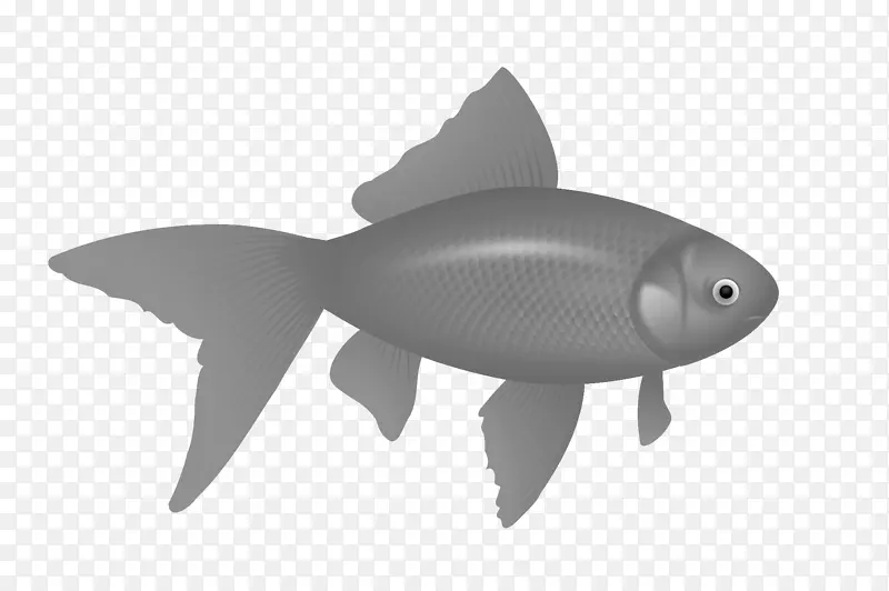 鱼类剪贴画-鱼PNG图像