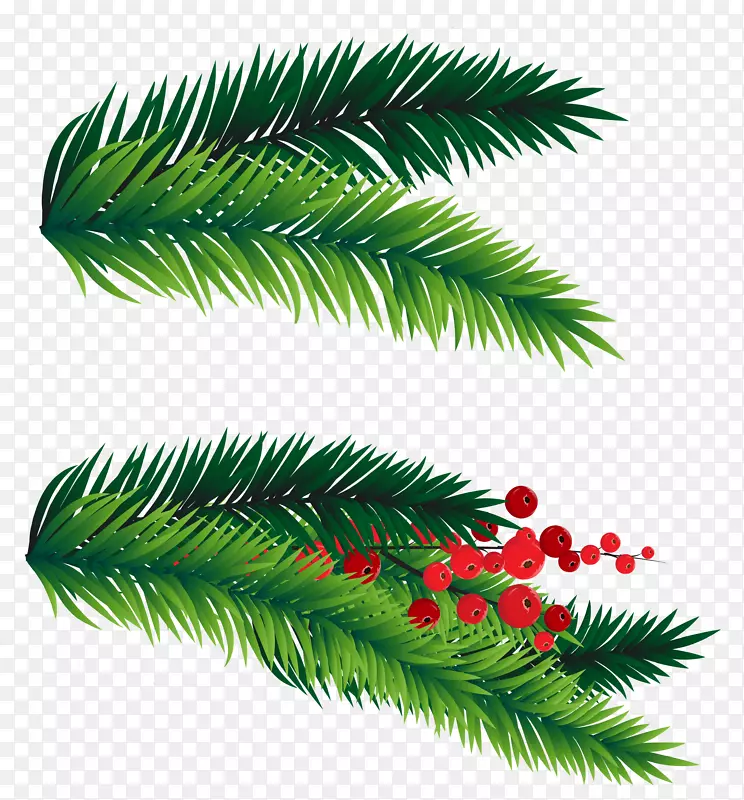 杉木圣诞树剪贴画-松枝装饰PNG图片