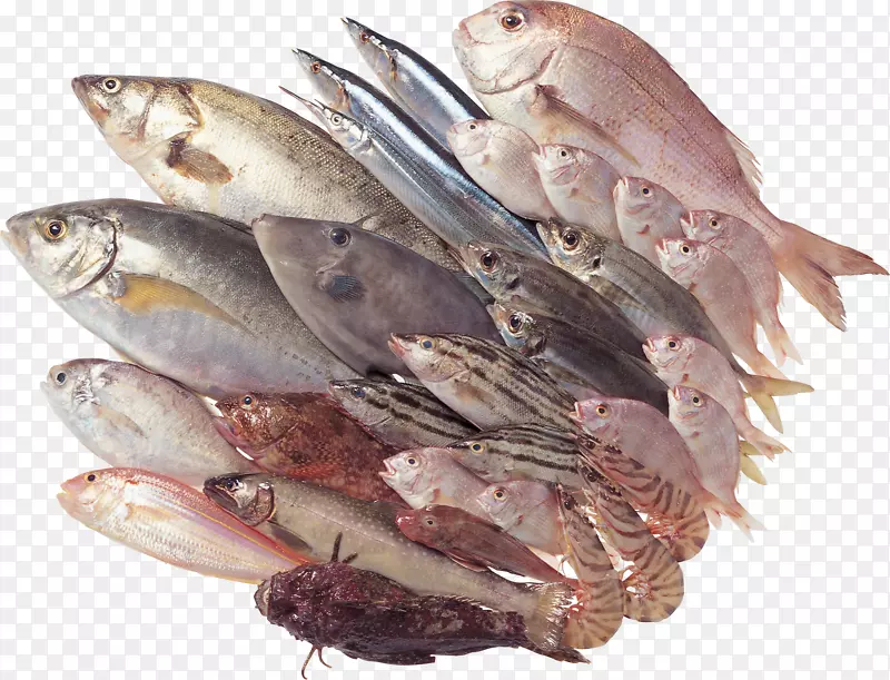 海鲜鱼作食物填充物-鱼PNG