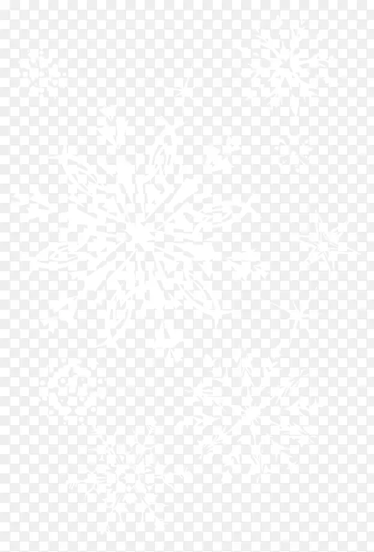 线条对称黑白点图案透明雪花图片