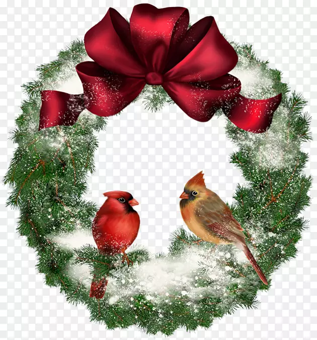 圣诞花环剪贴画.带鸟的透明圣诞花环