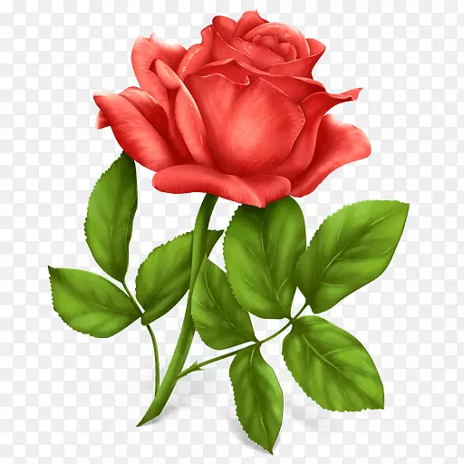 婚姻幸福友谊爱情人际关系-粉红色玫瑰PNG图片下载
