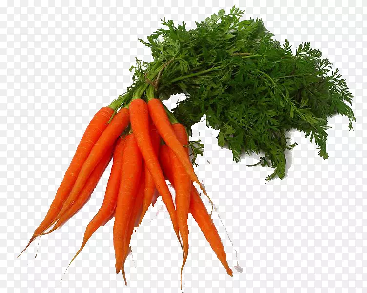 胡萝卜汁蔬菜-胡萝卜片