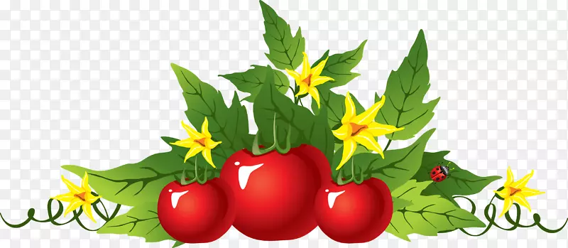 园林工具园艺铲-图片番茄PNG形象