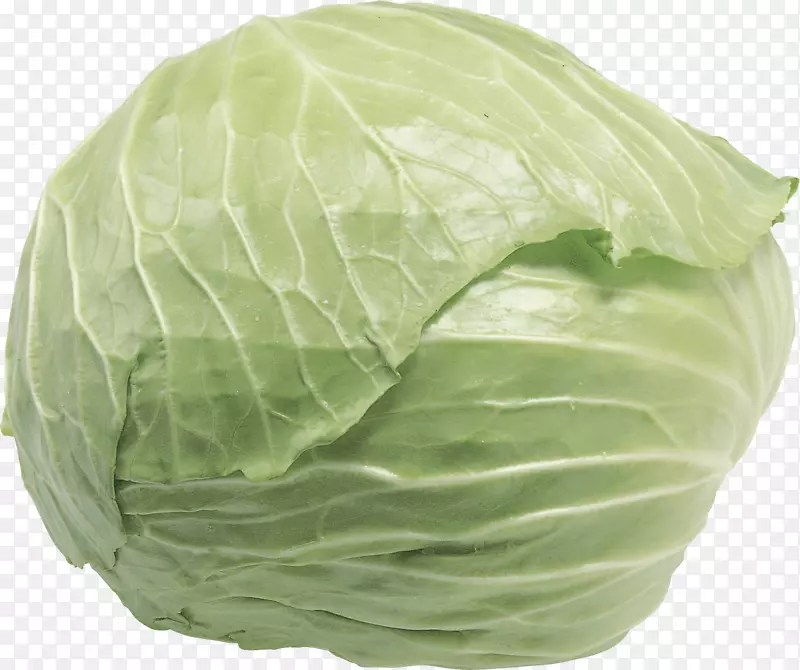 大白菜菜花莴苣蔬菜-白菜PNG图像