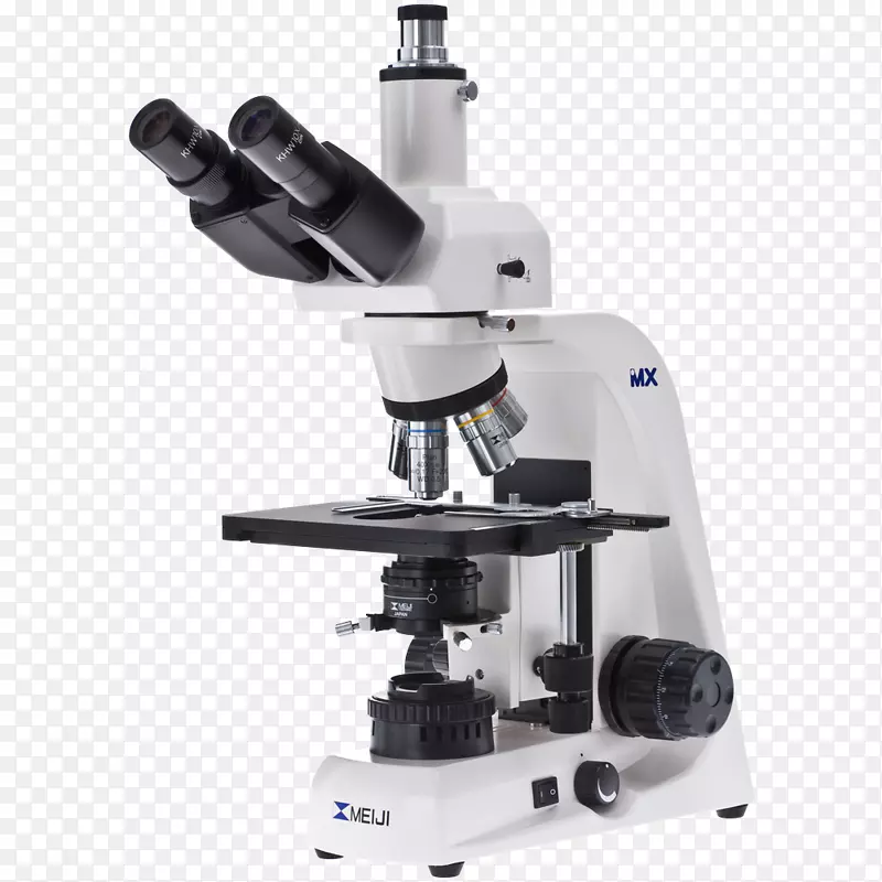 立体显微镜生物学实验室光学显微镜PNG