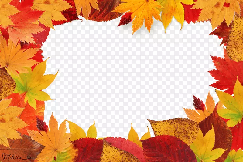 秋叶彩色剪贴画-秋叶框架