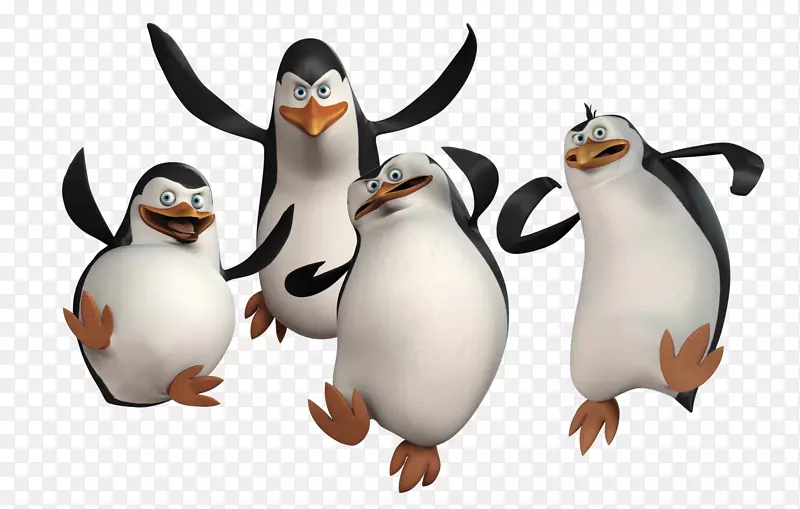 企鹅马达加斯加梦工厂动画-企鹅PNG图片马达加斯加企鹅PNG图像