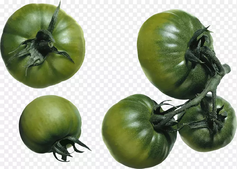番茄图像文件格式-绿色番茄png图像