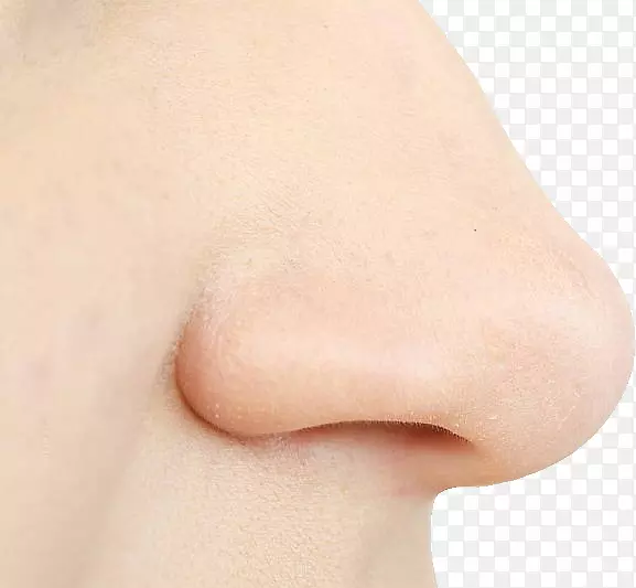鼻外科皮肤面部面颊-人鼻PNG