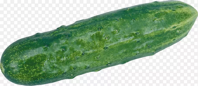 黄瓜蔬菜剪贴画-绿色黄瓜PNG图像