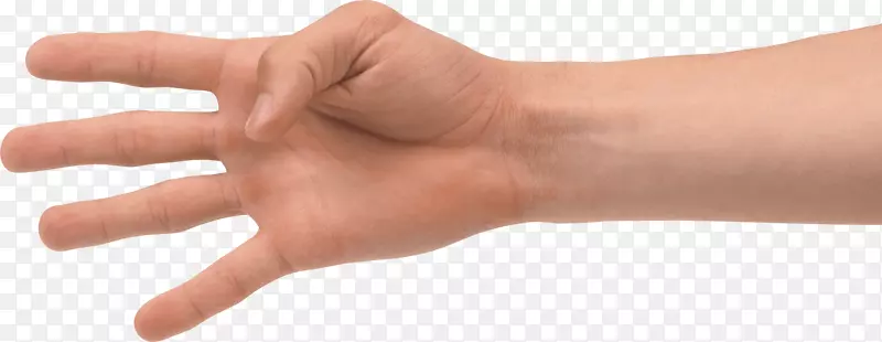 拇指手模型指甲-手PNG手图像