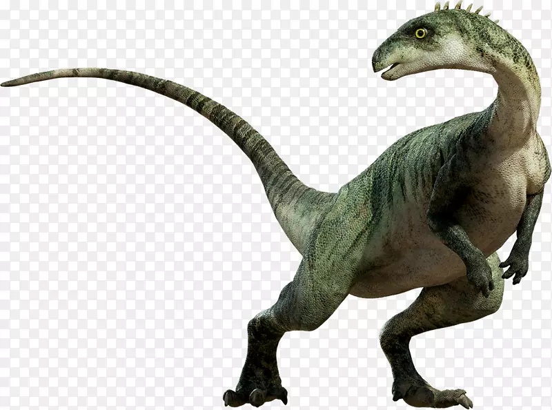 恐龙暴龙剪贴画-恐龙PNG