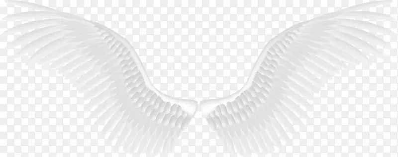 下载天使图案-白色天使翅膀PNG