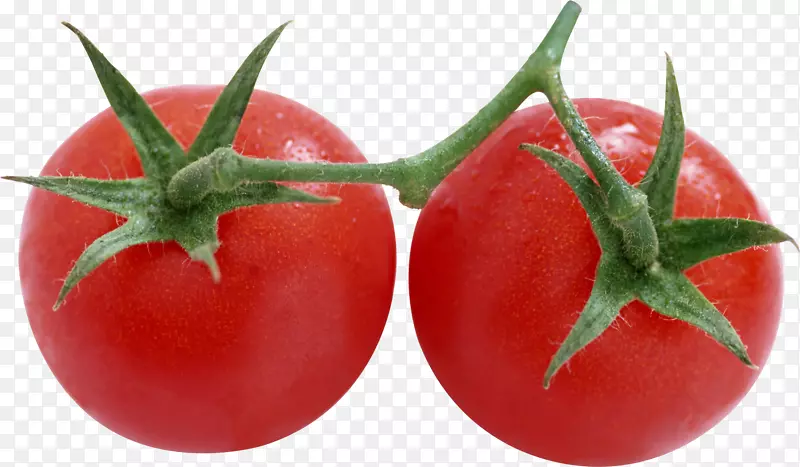 樱桃番茄-番茄PNG
