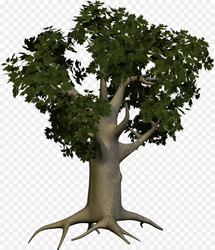 树木剪贴画-树PNG图像
