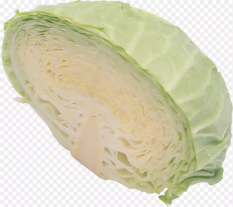 甘蓝蔬菜-白菜PNG图像
