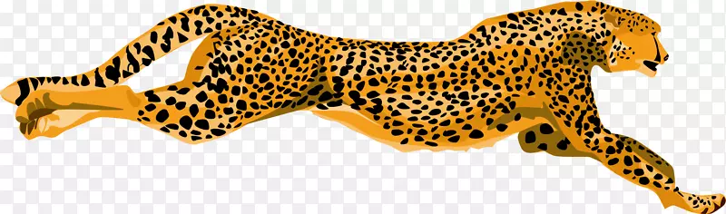猎豹虎夹艺术-猎豹PNG图片