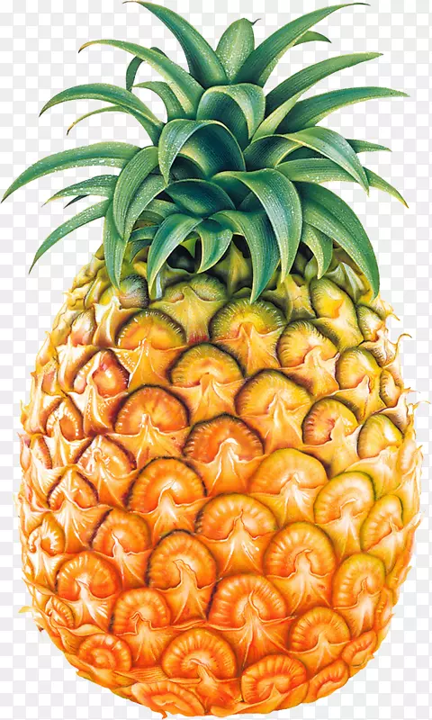 菠萝水果剪贴画-菠萝PNG图片，免费下载