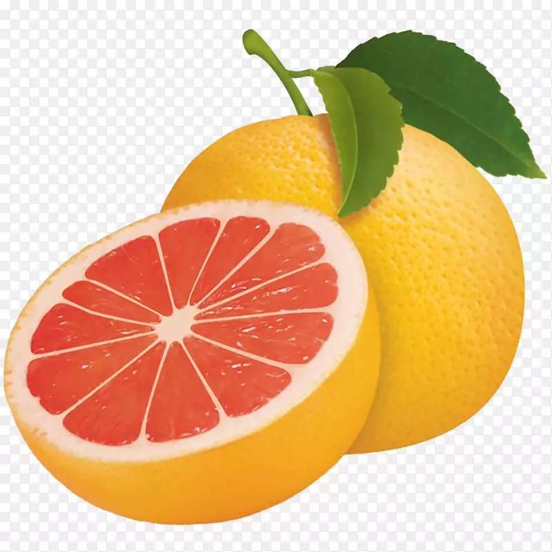 柚子，酸橘子，佛手柑，橙，柠檬-柚子PNG