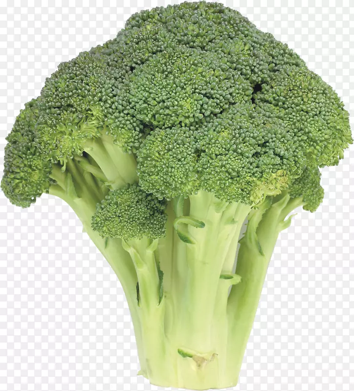 花椰菜菜青素-花椰菜png图像