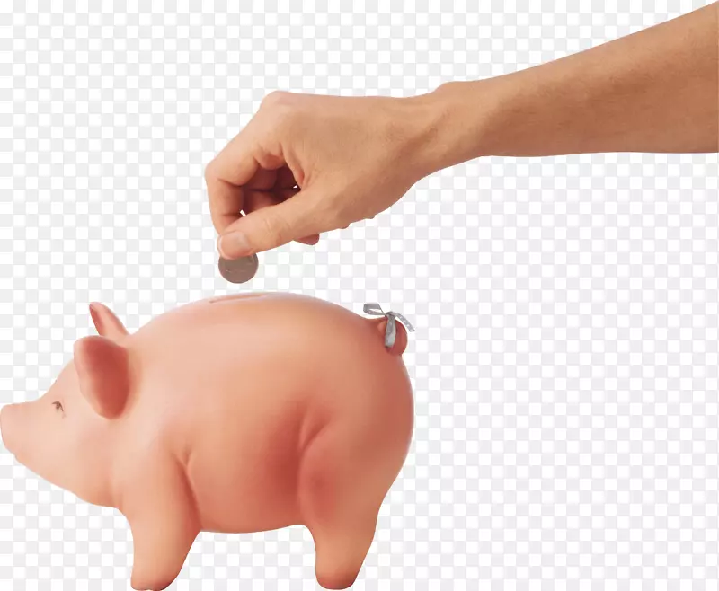 家猪储蓄罐图标-PNG图像中的硬币