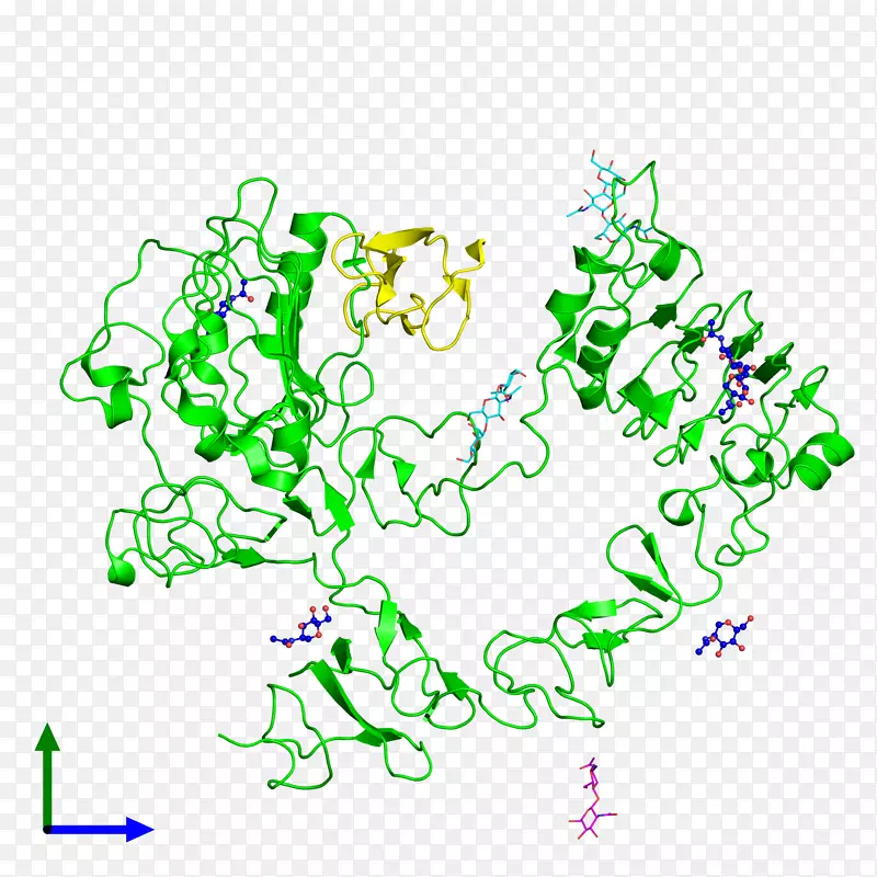 表皮生长因子受体分子ErbB-分子PNG HD