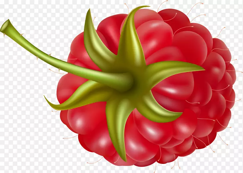 草莓覆盆子水果剪贴画-rraspberry png图像