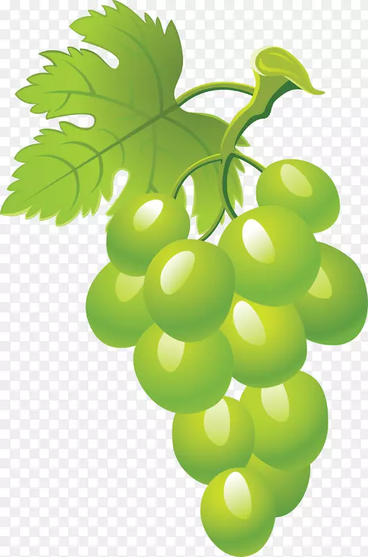 葡萄剪贴画-绿色葡萄图片Png图像