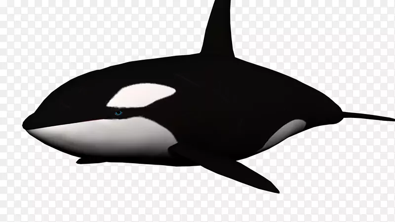 虎鲸鲨鱼剪贴画-鲸鱼PNG