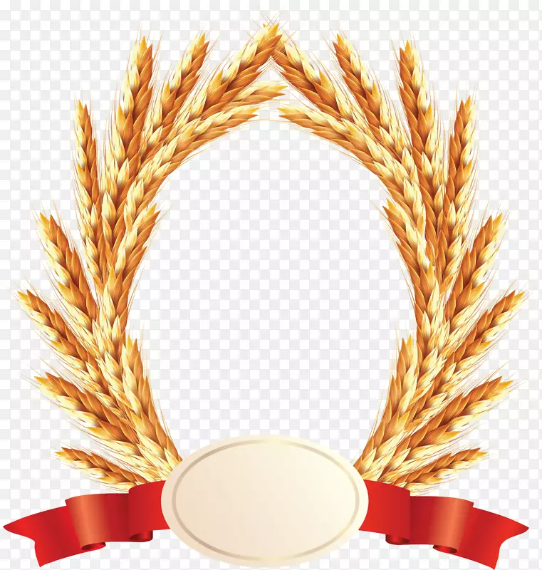 小麦穗欧式图-小麦PNG