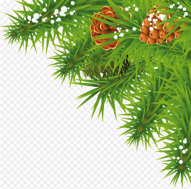 圣诞剪贴画-冷杉树枝PNG图片