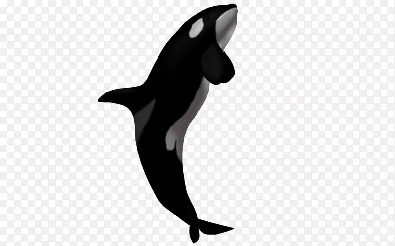 虎鲸剪贴画-虎鲸透明