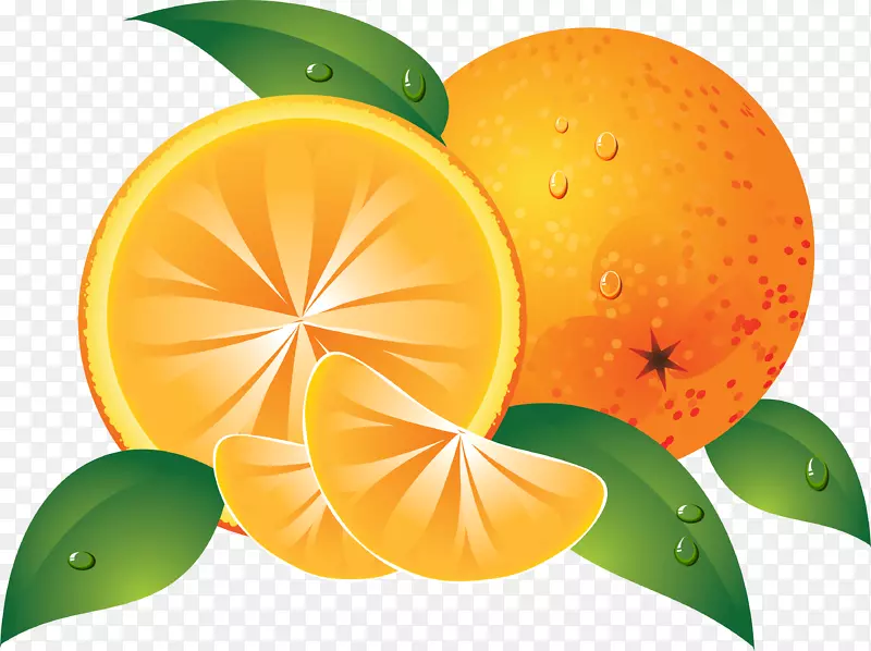 橙色水果剪贴画-橙色PNG图像下载
