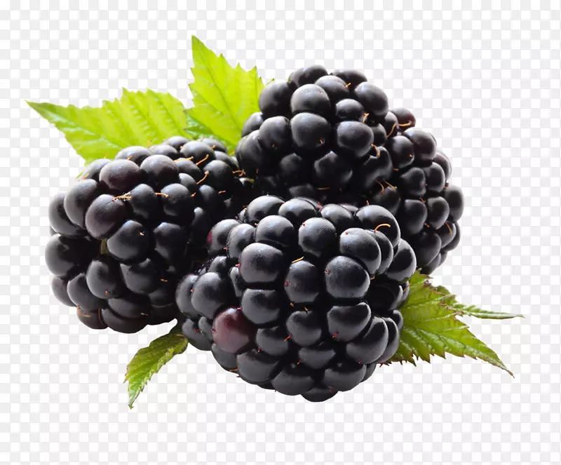 果汁黑莓水果覆盆子-黑莓PNG