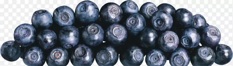 蓝莓PNG