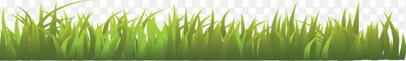 草本植物光景-草PNG图像，绿草PNG图片