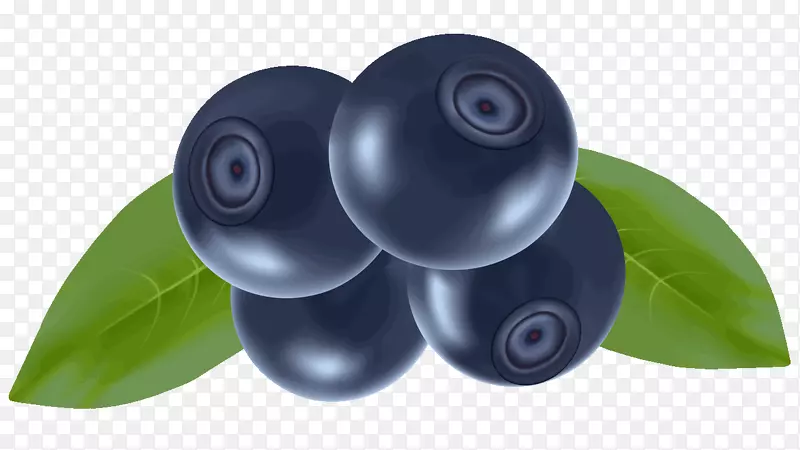 水果塑料-蓝莓PNG