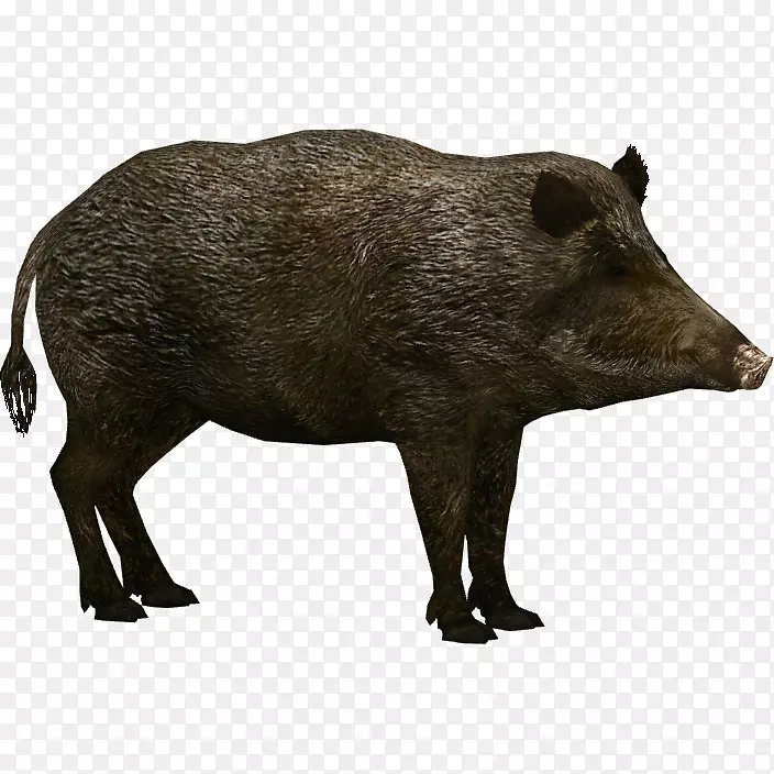 野猪像素图标-野猪PNG