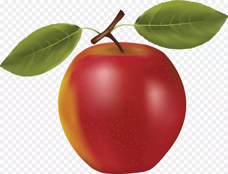 苹果汁剪贴画-红苹果PNG图像