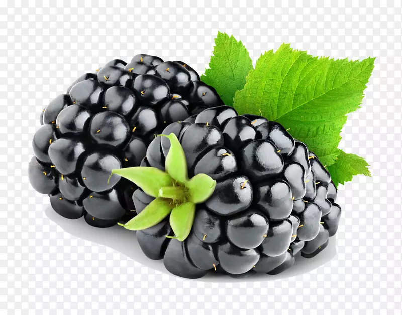 黑莓派水果-黑莓果PNG HD