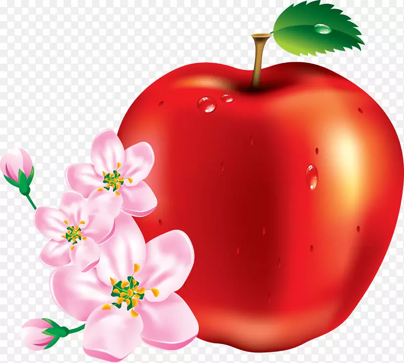 苹果水果剪贴画-红苹果PNG图像
